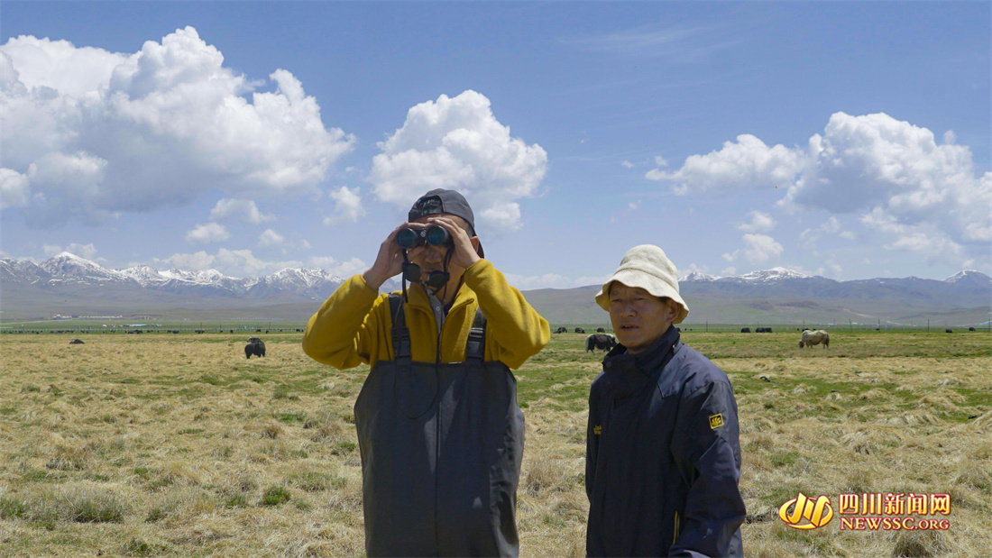 索郎夺尔基和湿地巡护员如科用望远镜观测远处的黑颈鹤（杨译焮 摄）.jpg