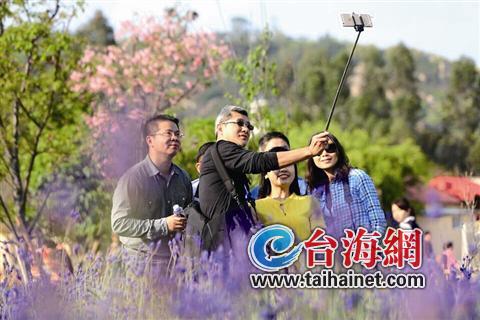 首届两岸“赏香草观樱花”摄影大赛在厦门举行（图）