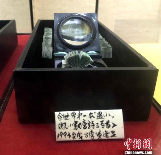 两岸艺术家厦门联展台湾微雕大师吸引大陆观众