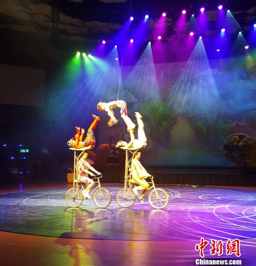 河北杂技音乐儿童剧《蔬菜总动员》在台湾佛光山欢乐上演