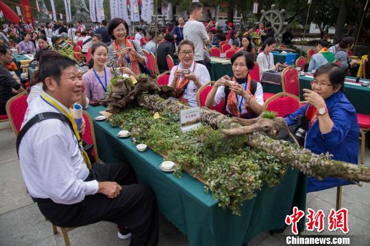 各式各样的茶席吸引众多茶客留步饮茶。　李南轩 摄