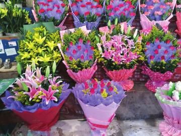 玫瑰花还未占满花架。邱雨