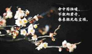 南京大学“单身·三行诗”走红 有的诗仅有三个字