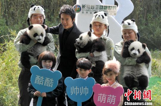 钢琴男神李云迪“乐遇”全球唯一大熊猫三胞胎
