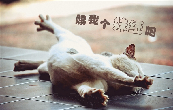 《单身狗返乡记》引围观 戳中屌丝心中痛