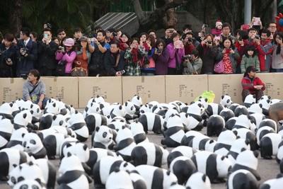 1600只纸熊猫台北快闪民众围观争拍照（图）