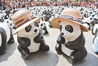 熊猫大军台中“快闪”民众争相拍照直呼“好可爱”