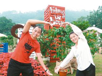 台湾咖啡节数千游客挤进云林华山（图）