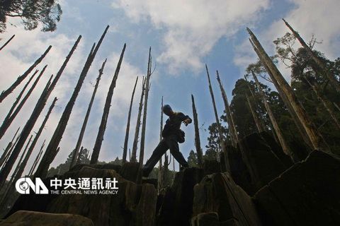 有台湾九寨沟之称的“忘忧森林”。(台湾“中央社”档案照片)