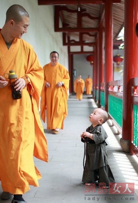 最萌小和尚pk最萌小道姑 看完瞬间就醉了_大图_中国台湾网